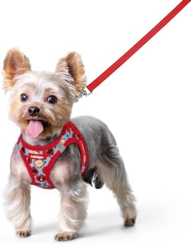 rabbitgoo Dog Harness Small Sized and Leash Set, Step-in Puppy Pet Vest by rabbitgoo
