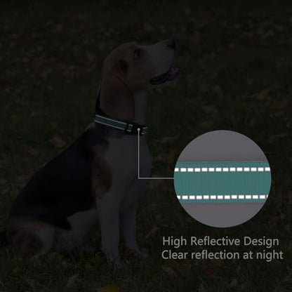Reflective Dog Collar, Adjustable Nylon for Puppy, Teal XS - Image 5