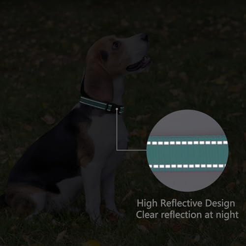 Reflective Dog Collar, Adjustable Nylon for Medium Dogs,Teal - Image 5