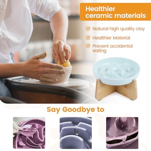 PETTOM Slow Feeder Cat Bowl with Stand, Ceramic Slow Eating Cat Bowl with Higher Edges Fish Pool Design Elevated Food Bowls for Dry and Wet Food Anti-Vomiting Puzzle Feeder for Healthy Eating Diet - Image 4