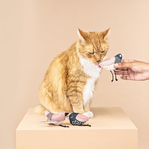 Fringe Studio, Under My Wings, Durable Cotton Canvas Cat Toy, 3PCS Set, PetShop Collection (904029) - Image 3