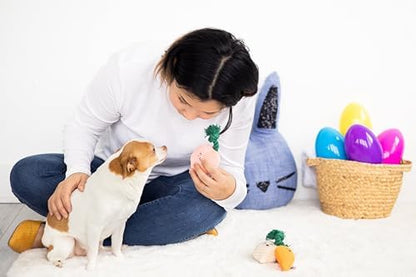 Pearhead Spring Garden Veggies Dog Toys, Plush Squeaky Rope Dog Toys - Image 4