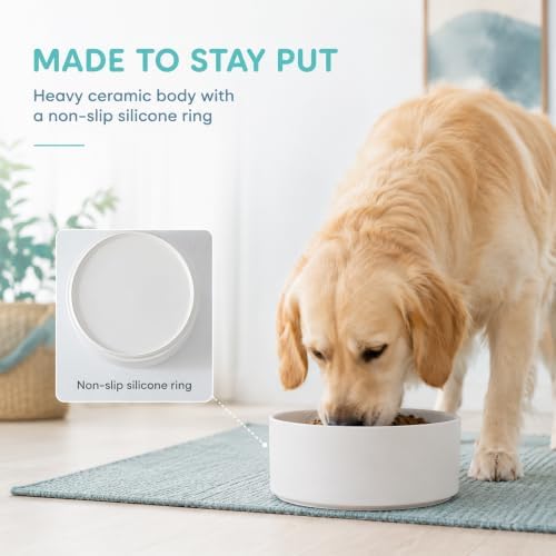 Havniva Ceramic Dog Bowls, 8.3” Dog Food and Water Bowl, Pet Feeding Bowl - Image 4