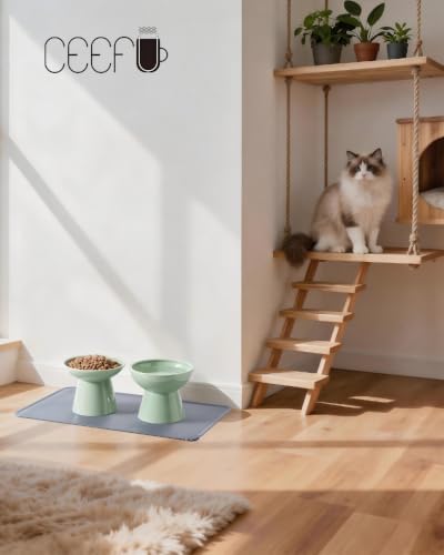 CEEFU 2 Elevated Ceramic Cat Bowls Upgraded with Food Mat for Food & Water - Image 5