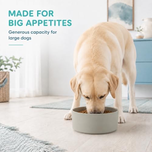 Havniva Ceramic Dog Bowls, 8.3” Dog Food and Water Bowl, Pet Feeding Bowl - Image 6