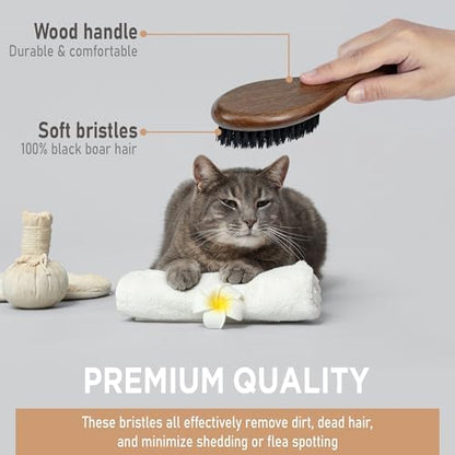 TAKAVU Boar Bristle Cat Brush, Gentle Grooming for Sensitive Skin - Image 3