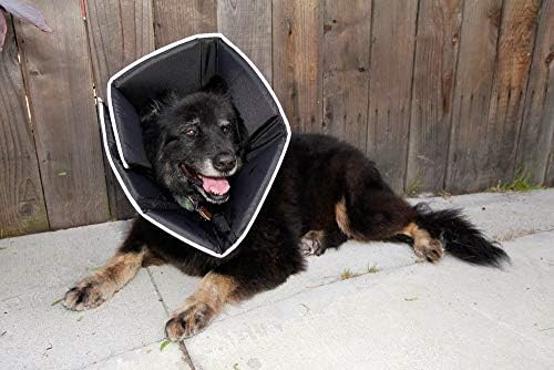 All Four Paws Comfy Cone Pet Cone for Dogs, Cats, X-Small, Black - Comfortable Soft Dog Cone Collar Alternative for After Surgery, Wound Care, Spay, Neuter - Dog and Cat Recovery Elizabethan-Collar - Image 3