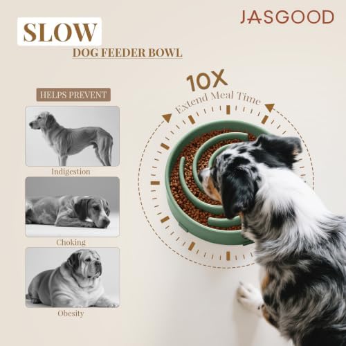 JASGOOD Slow Feeder Dogs Bowl for Large Medium Dogs,Anti-Gulping Pet Slower Food Feeding Bowls - Image 2