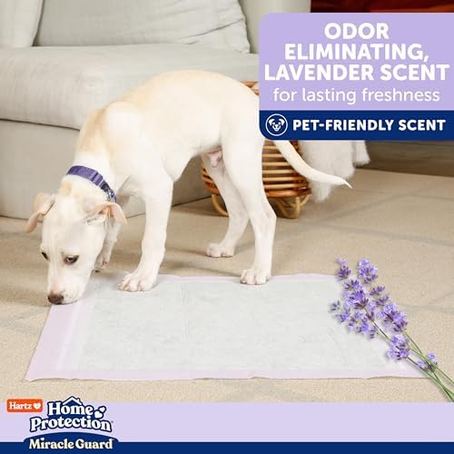 Hartz Miracle Guard Dog and Puppy Dog Pads Max Absorbency 24 Hour Use Odor Eliminating Lavender Scented No Leaks, Regular Size 25 Count - Image 6