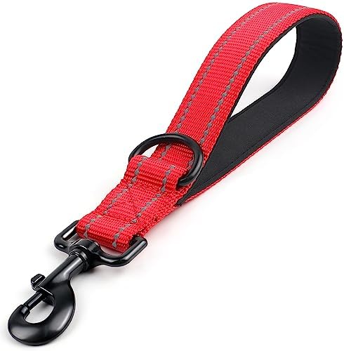 Joytale Short Dog Leash for Close Control & Training, 12", Red by Joytale