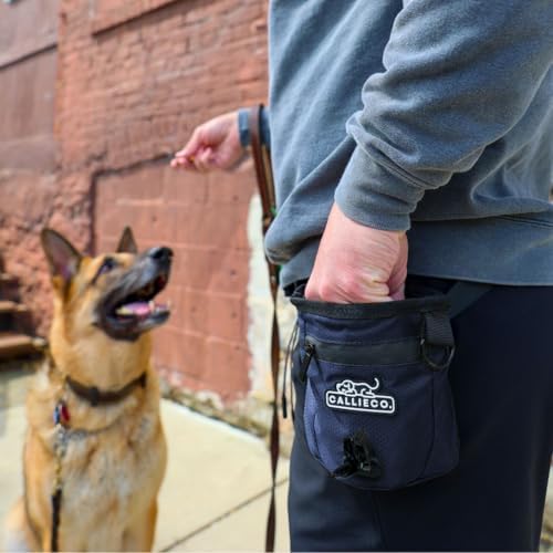 Callieco Mini Dog Treat Pouch with Magnetic & Zipper Closure | Small Waist Belt Training Behavior Aid Bag for Dog Walking with Poop Bag Dispenser (Blue) - Image 2