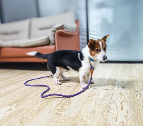 6 Foot Dog Tie Out Rope Leash, 1/2-In Indoor Training Tie Down - Image 6