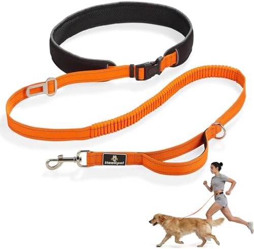 Reflective Waist Bungee Dog Leash - Hands-Free for Running & Walking (Orange Leash) by Heellpxi