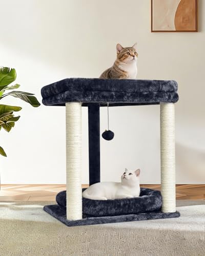 SYANDLVY Small Cat Tree for Indoor Cats with 2 Levels Perch Platforms - Image 6