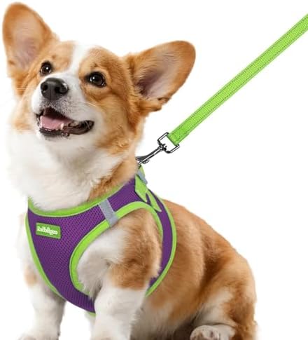 rabbitgoo Dog Harness Small Sized and Leash Set, Step in Soft Vest by rabbitgoo