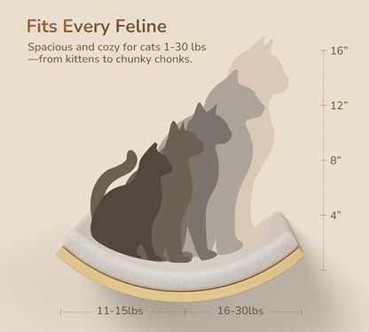 Cat Wall Stairs and Wall Shelves, 4 Piece Wood Cats Furniture Set, Padded Curved Bed with Foam, Flat Shelf & Climbing 4 Steps Stairs for Large Indoor Cats - Image 4