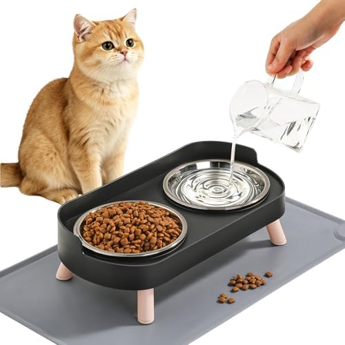 LoeJan Elevated Cat Bowls Set - Raised Cat Food and Water Bowl Set with Non Slip Stand - Pet Feeding Station with 2 Stainless Steel Bowls with Splash Proof Guard by LoeJan