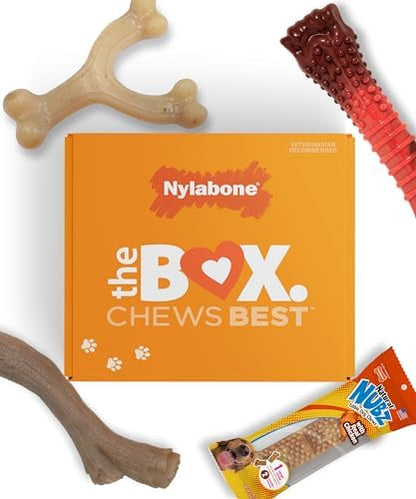 Nylabone Dog Gift Box, Strong Chew Toys & Treat, Large, 4 Count by Nylabone