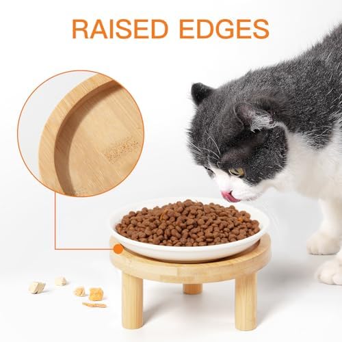 Shallow Elevated Cat Bowls, 4, White (Fish Bone), Bamboo Stand - Image 5
