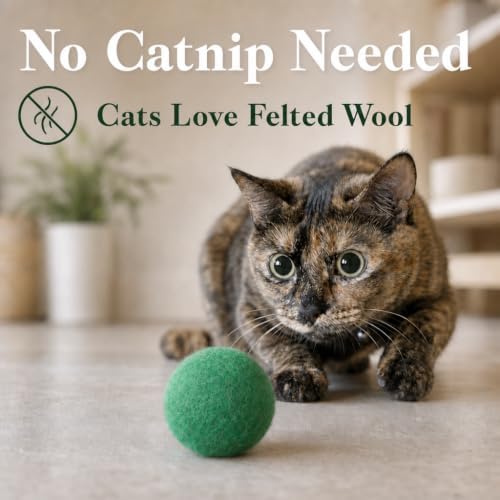 Felted Wool Cat Ball Toys, Green, 6PCS - Image 3