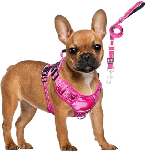 Tactical Service Dog Vest and Leash Set with 10 Patches Camo Pink S by MOOGROUPETSFRIEND
