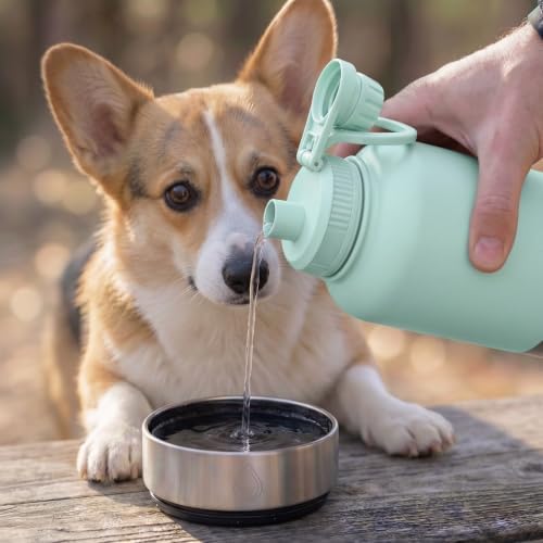 Portable Dog Water Bottle 32oz Insulated Travel Bottle for Small Dogs - Image 3