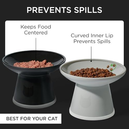 Necoichi BPA-Free Extra-Wide Elevated Cat Food Bowls, 2-Pack (Urban Fog) - Image 4
