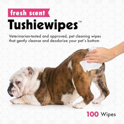 Petkin Tushie Wipes, 100 Wipes - Keep Pet's Bottom Clean - Absorbent, Easy to Use for Dogs, Cats, Puppies & Kittens - With Eau de Toilette - Image 2
