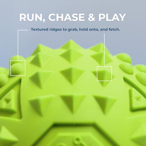 Best Pet Supplies Squeaky Dog Toys with Soft Durable Fabric for Small, Medium and Large Pets Interactive Toy for Indoor Play, Supports Active Biting and Play - Green, Large - Image 3