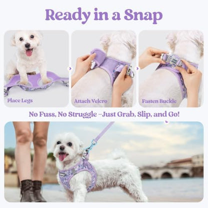 rabbitgoo Dog Harness Small Sized and Leash Set, Step-in Puppy Pet Vest - Image 5