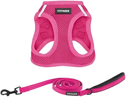 Best Pet Supplies Voyager Step-in Air All Weather Mesh Harness and Reflective Dog 5ft Leash Combo with Neoprene Handle, for Small, Medium and Large Breed Puppies - Fuchsia, Medium by BestPetSuppliesLLC