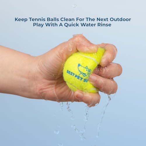 Best Pet Supplies Interactive Squeaky Dog Chew Toy, Ideal Dog Toys for Chewers, Small, Medium & Large Dogs, and Fetch Lovers - Tennis (Yellow), Large (Pack of 4) - Image 4