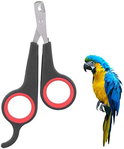 Bird Nail Clipper Grooming Tool Nail Scissors Clipper Pet Bird Parrot Small Animals Accessory for Small Parrot Birds by Zerodis