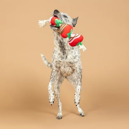 Fringe Studio Plush Dog Toy with Rope, Covered with Love, Petshop Collection (314495) - Image 5