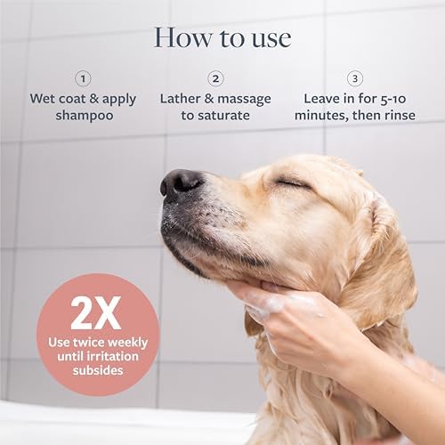 Veterinary Formula Clinical Care Hot Spot & Itch Shampoo, 16 oz, 2-Pack - Image 5