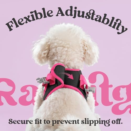 rabbitgoo Dog Harness Small Sized and Leash Set, Step in Soft Vest - Image 6