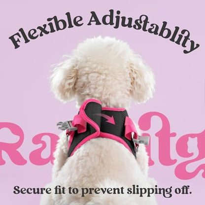 rabbitgoo Dog Harness Small Sized and Leash Set, Step in Soft Vest - Image 6