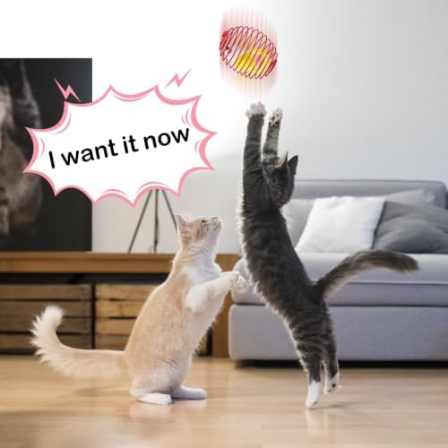 Jecery 5 Pcs Cat Toys Spring,Mouse,Bright Color - Image 5