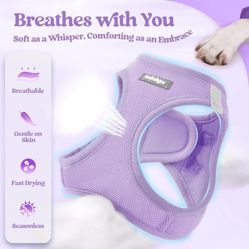 rabbitgoo Dog Harness Small Sized and Leash Set, Step-in Puppy Pet Vest - Image 4