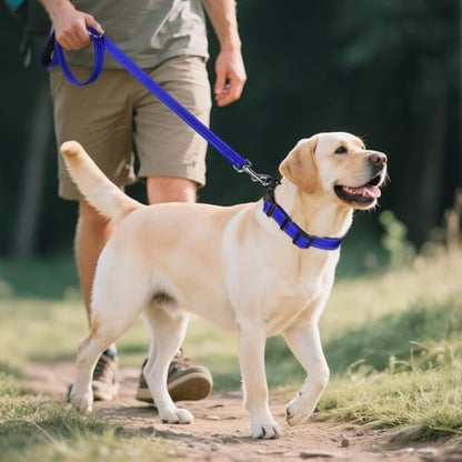 Joytale Reflective Dog Collar, Adjustable Neoprene Padded, Navy Blue XL - Image 6