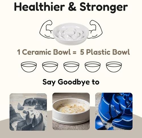Ceramic Cat Slow Feeder Bowl - 6.2'' Whisker Friendly Cat Plate for Dry and Wet Food -Heavy Puzzle Feeding Bowl for Slow Eating - Helps Reduce Vomiting - Microwave & Dishwasher Safe -Non Slip - White - Image 5