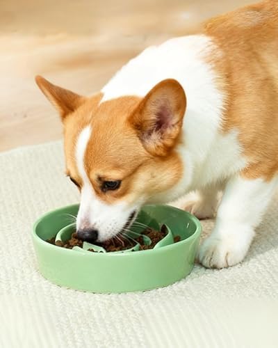 TRUVIC Ceramic Slow Feeder Dog Bowls, 1.5 Cup Puzzle Slow Feeder Bowls for Fast Eaters, Ceramic Dog Food Dish no Black Chin, Puzzle Bowl for Medium Dogs, Green - Image 2