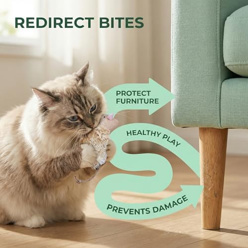 Ciieeo 3pcs Refillable Catnip Cat Toys for Indoor Cats & Kittens Plush Interactive Teething Chew Toy Mouse Shaped Catnip Pillow Assorted Colors - Image 5