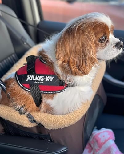ROODO Dog Car Booster Seat with Safety Leash and Foldable Metal Frame for Small Pets up to 20 lbs Height-Adjustable Portable Puppy/Cat Car Seats with Plush Thick Cushion Mesh Window(Khaki) - Image 2