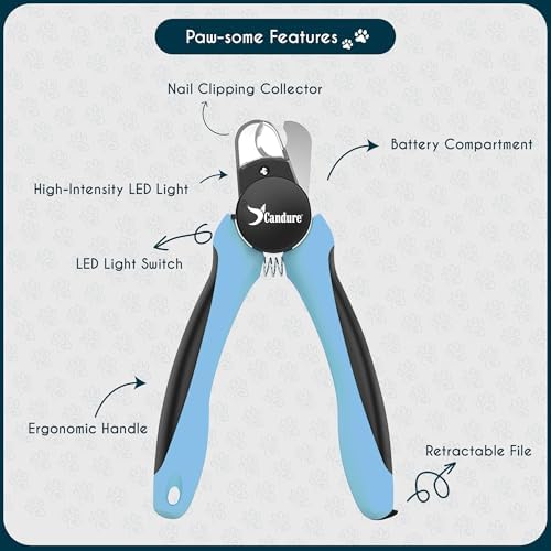 Candure LED Dog Nail Clippers with Light - Pet Nail Clippers with Light for Dogs & Cats, Sharp Stainless Steel Blades for Thick Nails, Safe Grooming Trimmer with Nail File (Sky Blue) - Image 4