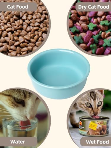 GDCZ Elevated Cat Bowl Stand, 11.6 in Metal Stand with 2 Removable 15 OZ Ceramic Bowls for Pet Food and Water, Stand Reduces Cat Neck Burden, Turquoise - Image 5