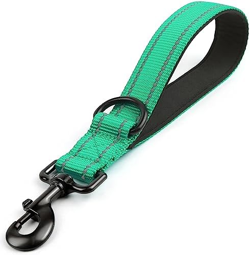 Joytale Short Dog Leash for Close Control & Training, 12", Teal by Joytale