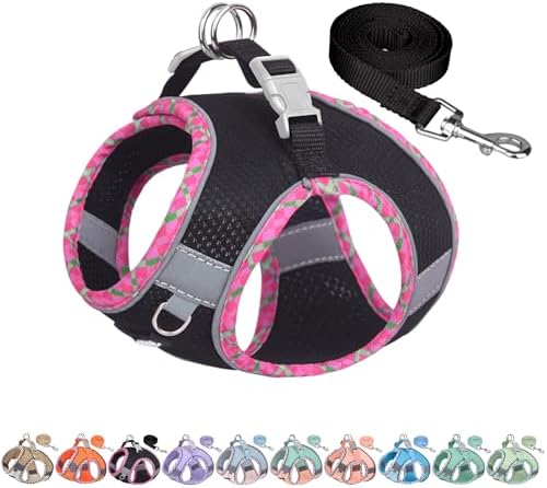 AIITLE Escape-Proof Dog Harnesss and Leash Set, Step in Pet Vest, Black L by AIITLE-FORPETSBETTERLIFE