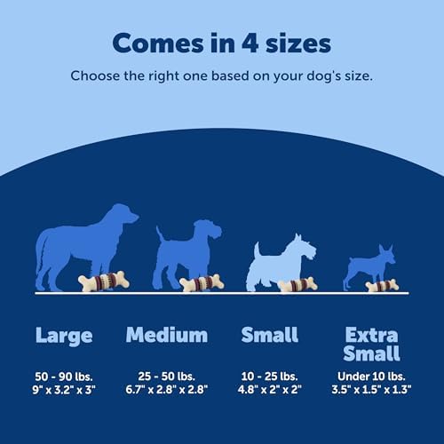 PetSafe Busy Buddy Bristle Bone Dog Treat Holding Chew Toy, Small - Image 5