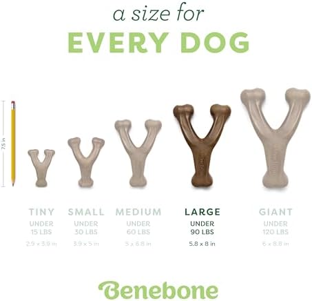 Benebone 2-Pack Wishbone Chew Toy for Aggressive Chewers, Real Bacon, Large - Image 4